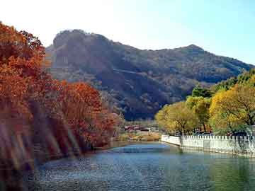 天天彩好彩天天免费，凉山物流